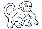 Monkey